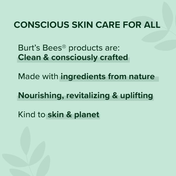 Burt's Bees Christmas Stocking Stuffers Gift Set - 6 Classic Products - Image 8