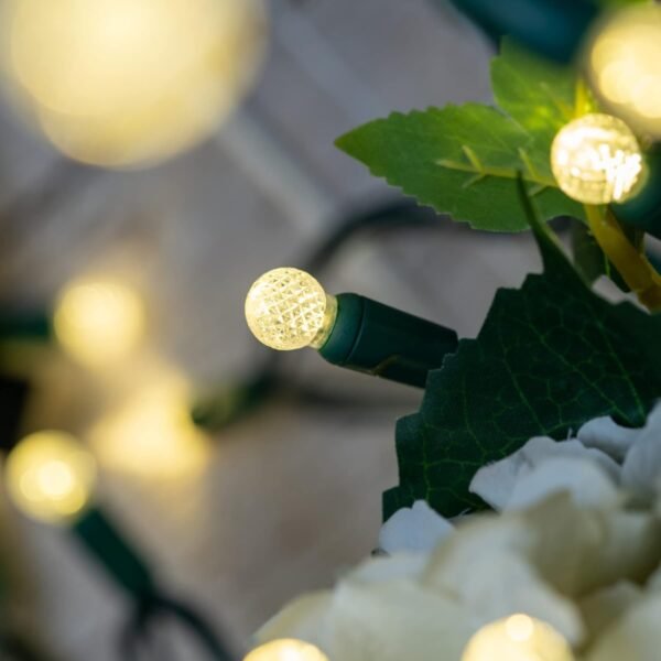 YULETIME Warm White One-Piece G12 LED Christmas Lights, Total 48 Feet 140 Count 2 Strands 24ft 70ct Waterproof Raspberry String Light (Warm White) - Image 9
