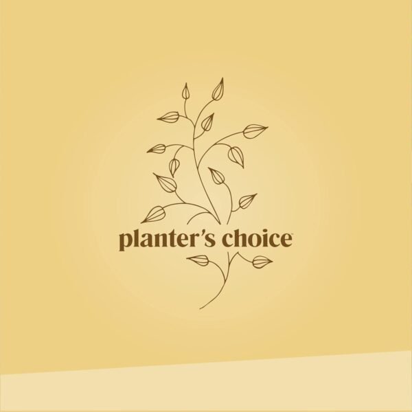 Bonsai Starter Kit - Gardening Gift for Women & Men - Bonsai Tree Growing Garden Crafts Hobby Kits for Adults, Unique DIY Hobbies for Plant Lovers - Unusual Christmas Gifts Ideas - or Gardener Mother - Image 10