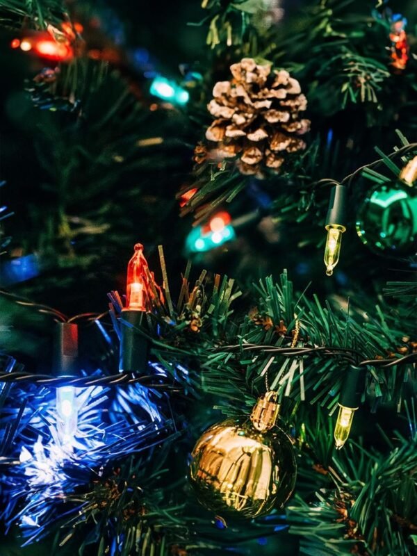 Twinkle Star 50 LED Battery Operated Christmas Lights 16 ft, Waterproof Tree Lights with 8 Lighting Modes, Indoor Outdoor Patio Garden Party Wedding Christmas Decoration, Multicolor - Image 4