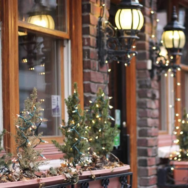 Clear Christmas String Lights 100 Count 25 Feet Incandescent Bulb Mini Lights for Indoor Xmas Tree Garland Birthday Wedding Party Festival Decoration, Green Wire - Image 10