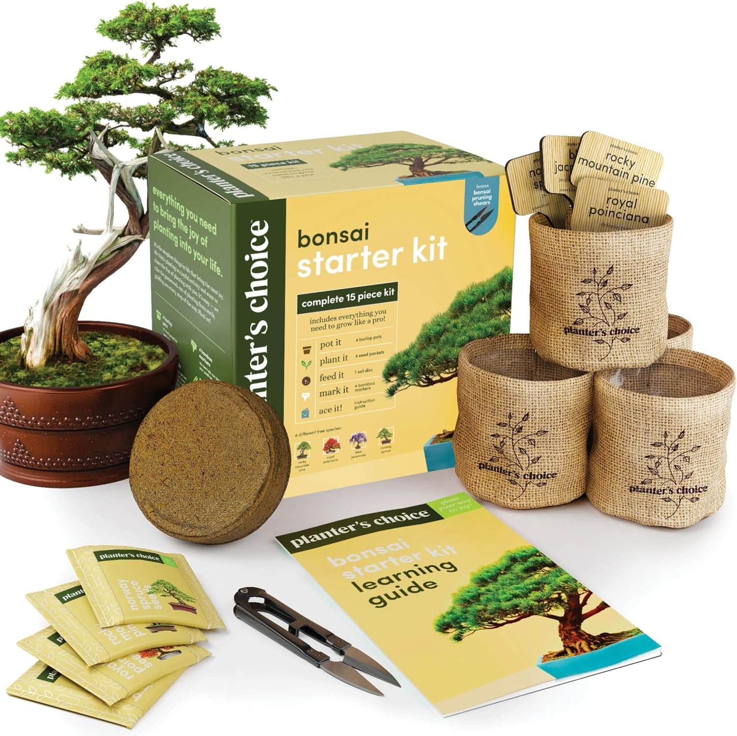 Bonsai Starter Kit - Gardening Gift for Women & Men - Bonsai Tree Growing Garden Crafts Hobby Kits for Adults, Unique DIY Hobbies for Plant Lovers - Unusual Christmas Gifts Ideas - or Gardener Mother - Image 2