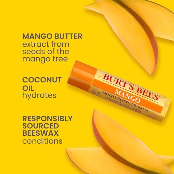 Burt's Bees Lip Balm Stocking Stuffers, Moisturizing Lip Care Christmas Gifts, SuperFruit - Pomegranate, Coconut & Pear, Mango, Pink Grapefruit, Natural Origin Treatment (4-Pack) - Image 3