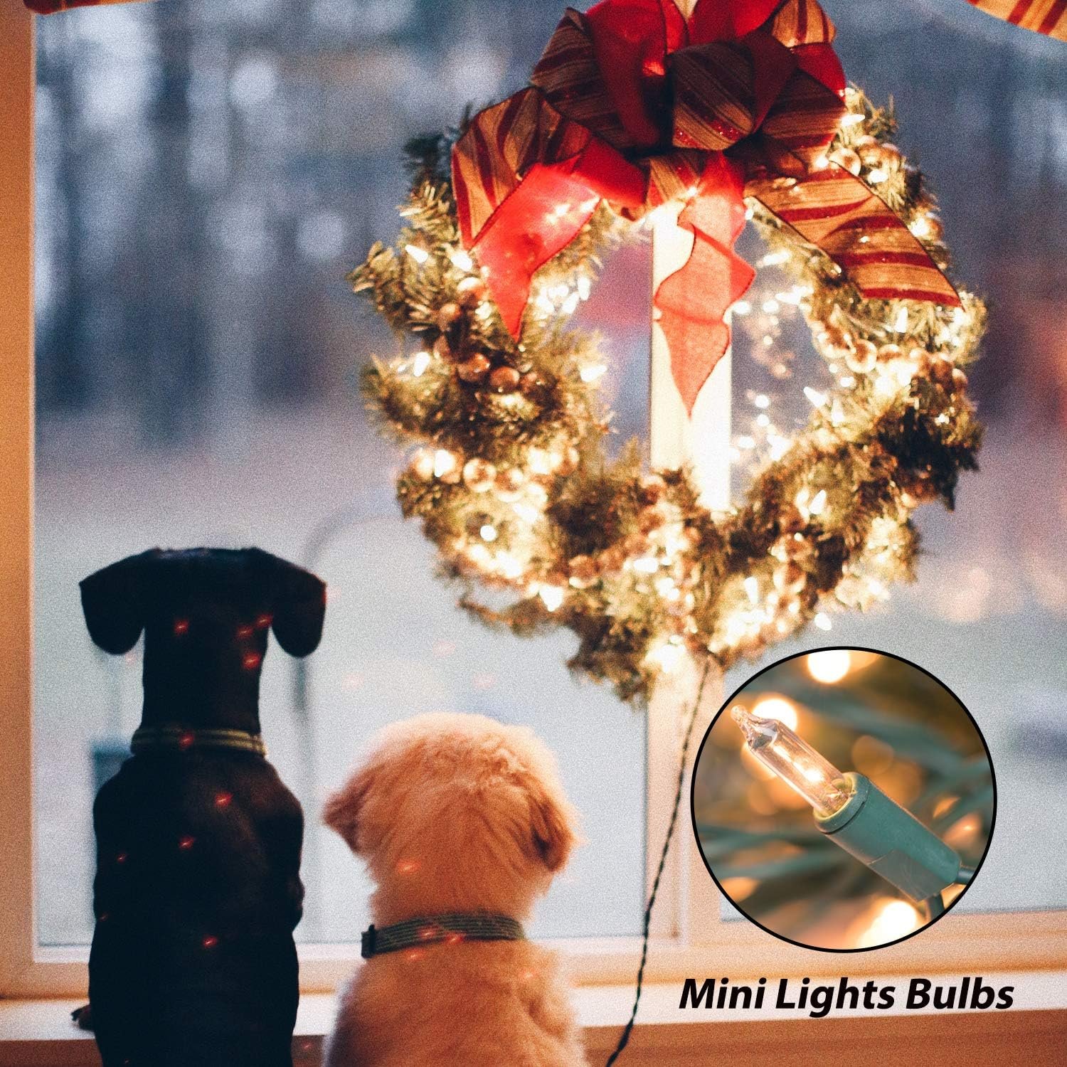 Clear Christmas String Lights 100 Count 25 Feet Incandescent Bulb Mini Lights for Indoor Xmas Tree Garland Birthday Wedding Party Festival Decoration, Green Wire - Image 6