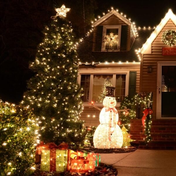 TW SHINE Warm White Christmas Lights Outdoor, 20FT 100 Count Incandescent Christmas Lights Indoor, Waterproof Christmas Tree String Lights for Xmas Decorations - Image 8