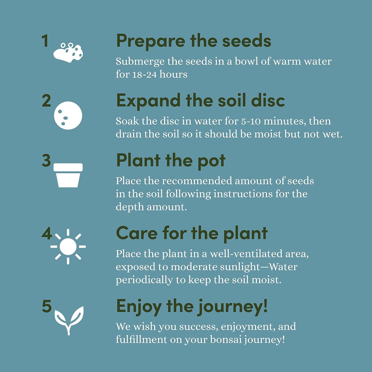Bonsai Starter Kit - Gardening Gift for Women & Men - Bonsai Tree Growing Garden Crafts Hobby Kits for Adults, Unique DIY Hobbies for Plant Lovers - Unusual Christmas Gifts Ideas - or Gardener Mother - Image 6