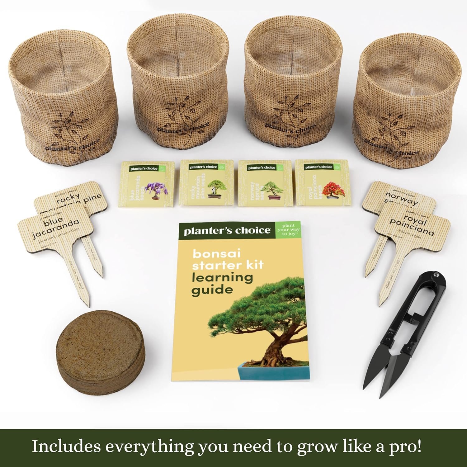 Bonsai Starter Kit - Gardening Gift for Women & Men - Bonsai Tree Growing Garden Crafts Hobby Kits for Adults, Unique DIY Hobbies for Plant Lovers - Unusual Christmas Gifts Ideas - or Gardener Mother - Image 3