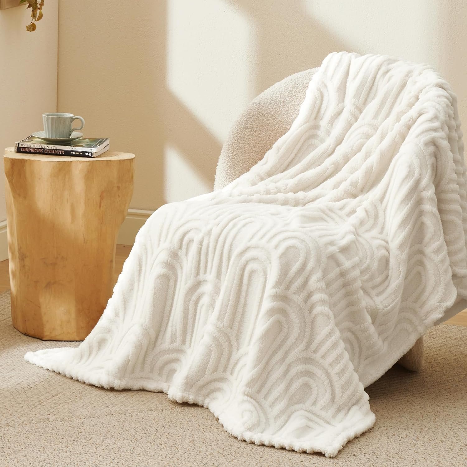 Bedsure Throw Blanket for Women - Super Soft Cozy Blankets for Women Gift, Cute Small Fleece Blanket for Girls, White, 50x60 Inches - Image 3
