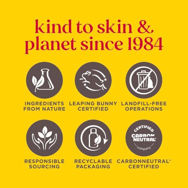 Burt's Bees Lip Balm Stocking Stuffers, Moisturizing Lip Care Christmas Gifts, SuperFruit - Pomegranate, Coconut & Pear, Mango, Pink Grapefruit, Natural Origin Treatment (4-Pack) - Image 4