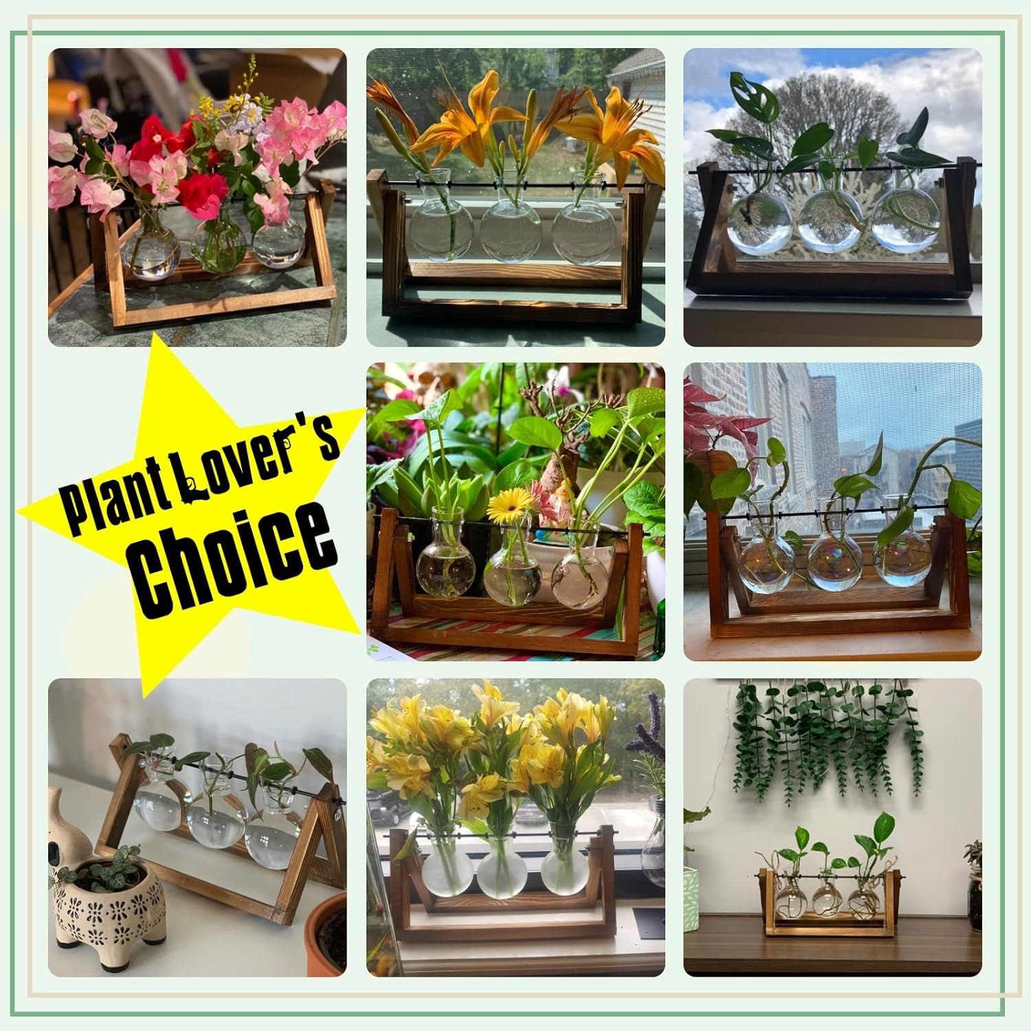 XXXFLOWER Plant Terrarium with Wooden Stand, Air Planter Bulb Glass Vase Metal Swivel Holder Retro Tabletop for Hydroponics Home Garden Office Decoration - 3 Bulb Vase - Image 6