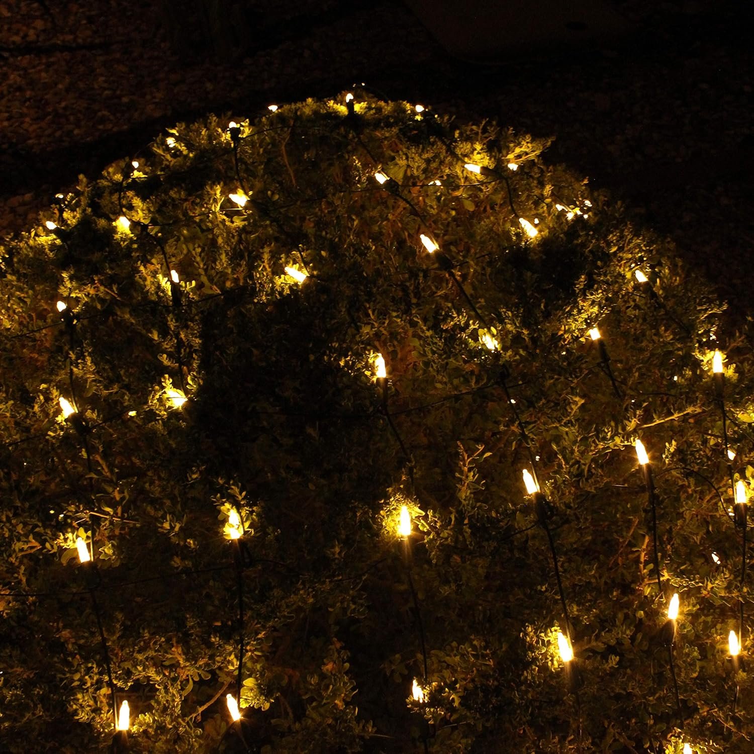 Joiedomi 150 LED Christmas Net Lights for Indoor & Outdoor Decorations, Christmas Events, Christmas Eve Night Decor, Christmas Tree, Bushes (Warm White) - Image 9