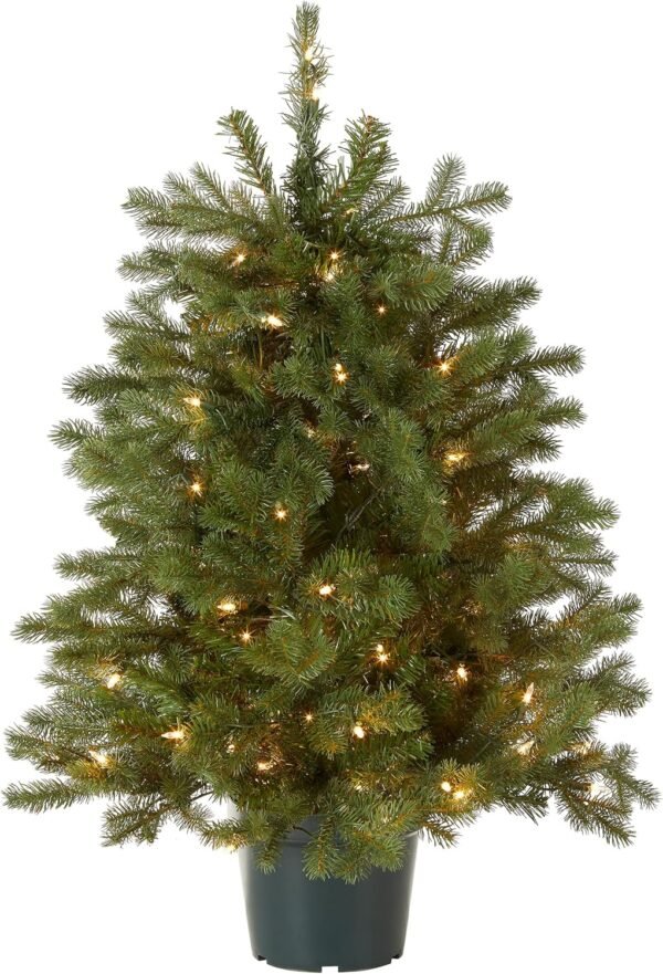National Tree Company 'Feel Real' Artificial Christmas Tree For Entrances| Includes White Lights and Stand | Hampton Spruce - 3 ft - Image 2