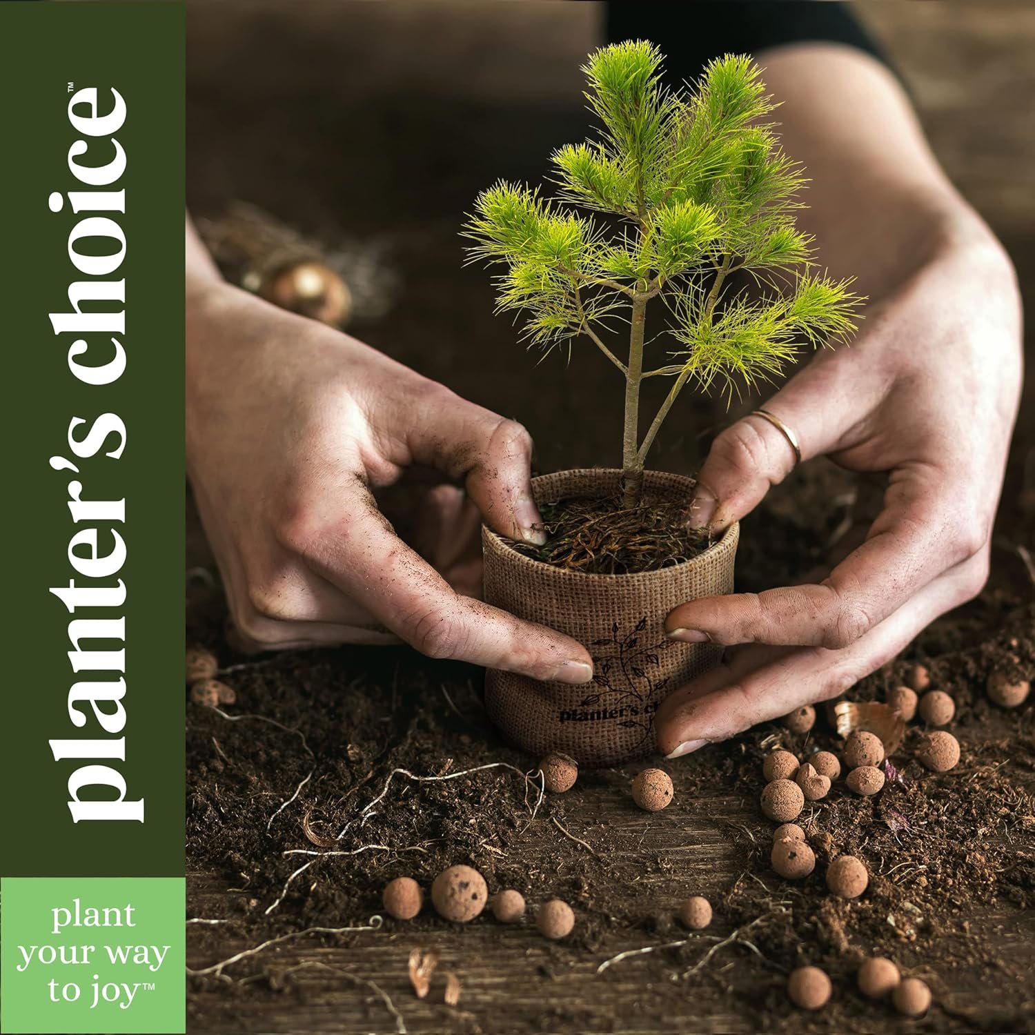 Bonsai Starter Kit - Gardening Gift for Women & Men - Bonsai Tree Growing Garden Crafts Hobby Kits for Adults, Unique DIY Hobbies for Plant Lovers - Unusual Christmas Gifts Ideas - or Gardener Mother - Image 8