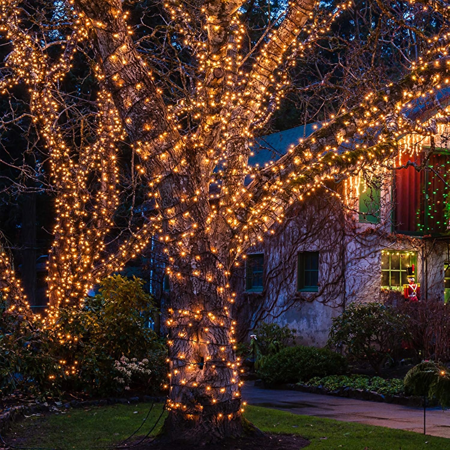 Christmas Lights 100 Count Mini Clear Lights 21ft White Wire Christmas Tree String Lights Set for Outdoor Indoor Christmas Decorations Wedding Decorations Valentines Day Decor,UL Certified (21feet) - Image 5