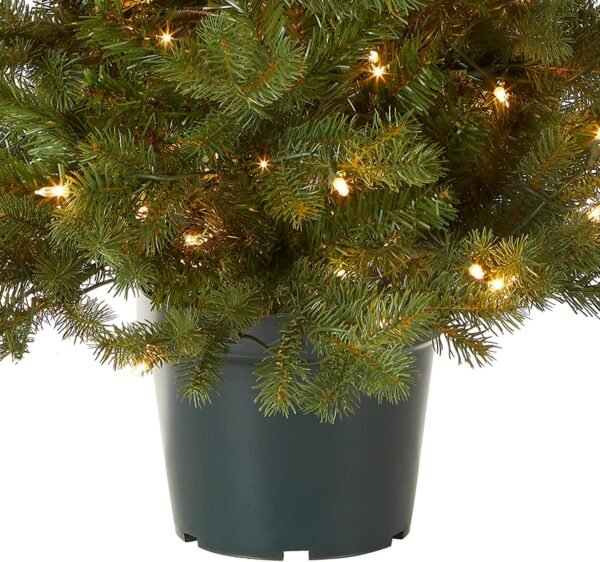 National Tree Company 'Feel Real' Artificial Christmas Tree For Entrances| Includes White Lights and Stand | Hampton Spruce - 3 ft - Image 4