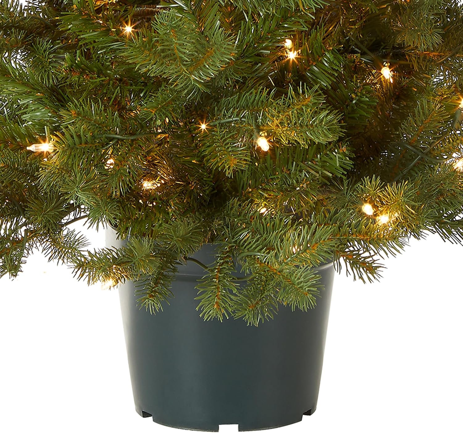 National Tree Company 'Feel Real' Artificial Christmas Tree For Entrances| Includes White Lights and Stand | Hampton Spruce - 3 ft - Image 4