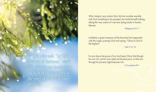 Jesus Calling for Christmas, Padded Hardcover, with Full Scriptures: Seasonal Devotions for Christmas (A 50-Day Devotional) - Image 4