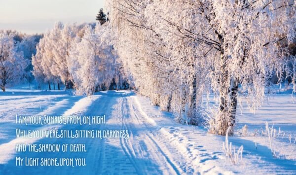 Jesus Calling for Christmas, Padded Hardcover, with Full Scriptures: Seasonal Devotions for Christmas (A 50-Day Devotional) - Image 5