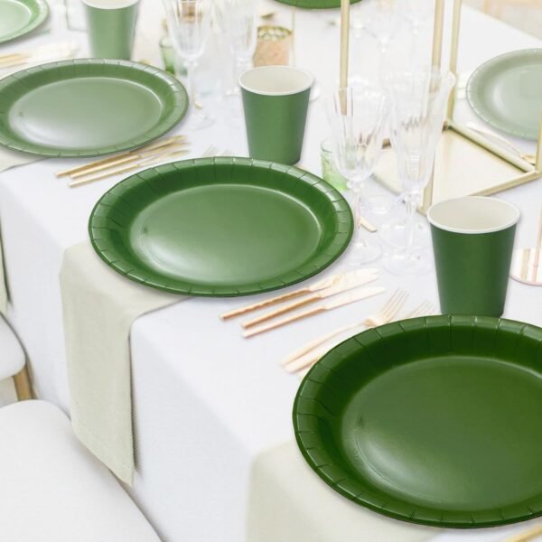 Whaline 244Pcs Sage Green Tableware Set Serves 48 Gradient Green Disposable Dinnerware 48 9" Plates 48 7" Plate 48 9oz Cups 100 Napkins for Wedding Birthday Party Supplies - Image 8