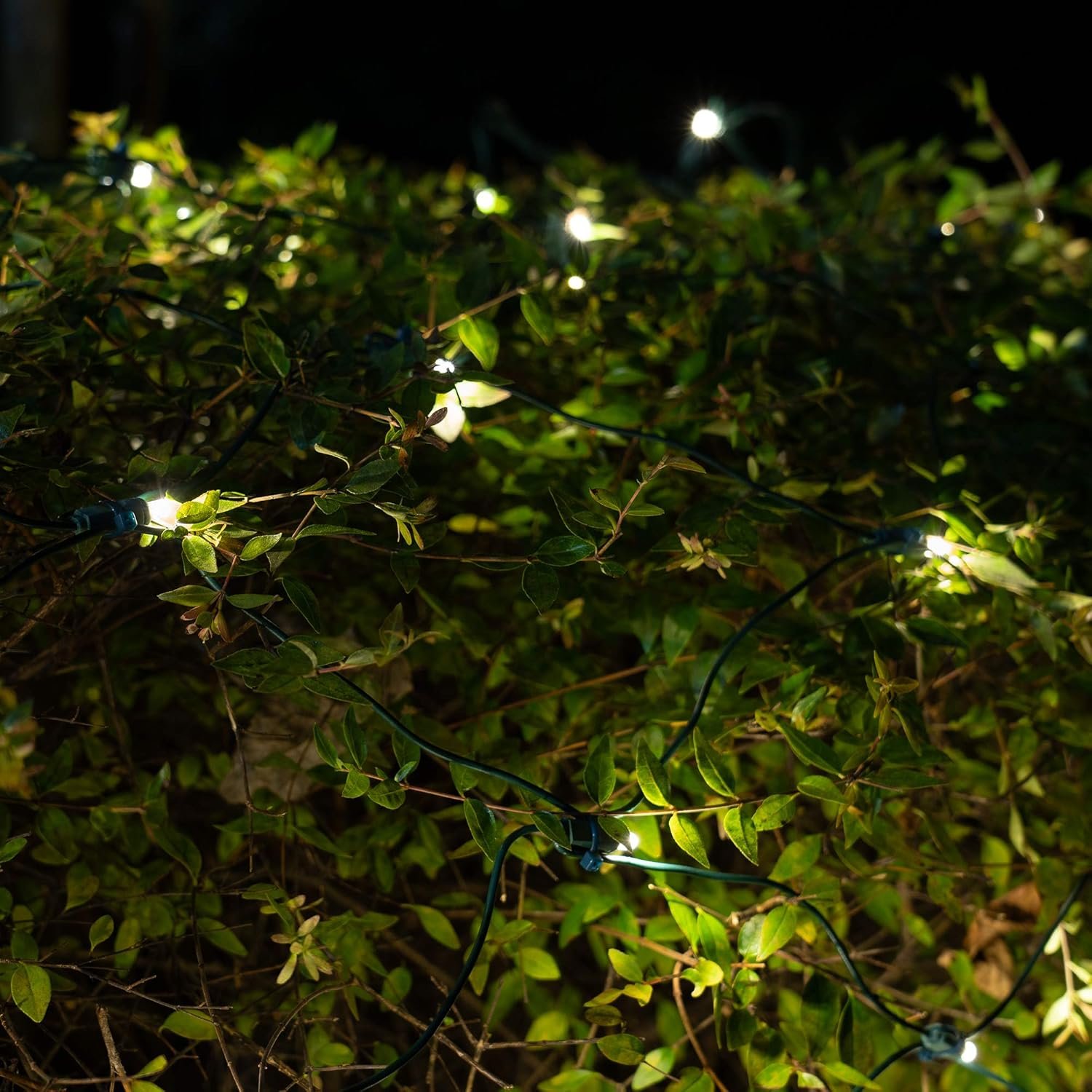 Wintergreen Lighting SoftTwinkle Pulsing Net Twinkle Lights, Net Lights Outdoor Twinkling Christmas Lights, Green Wire (70 Lights, 4’ x 6’ Net, Warm White) - Image 7