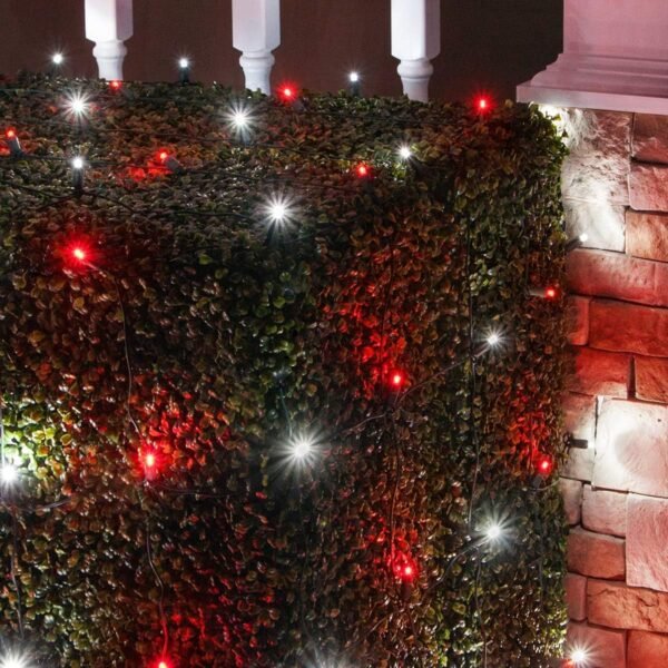 LED Red and White Net Lights Outdoor LED Holiday Lights Net, Outdoor Decorative Lights Christmas Net Lights, Hedge Christmas Lights, Set of 100 (4 x 6 ft, 5mm Lights, Red/Pure White) - Image 3