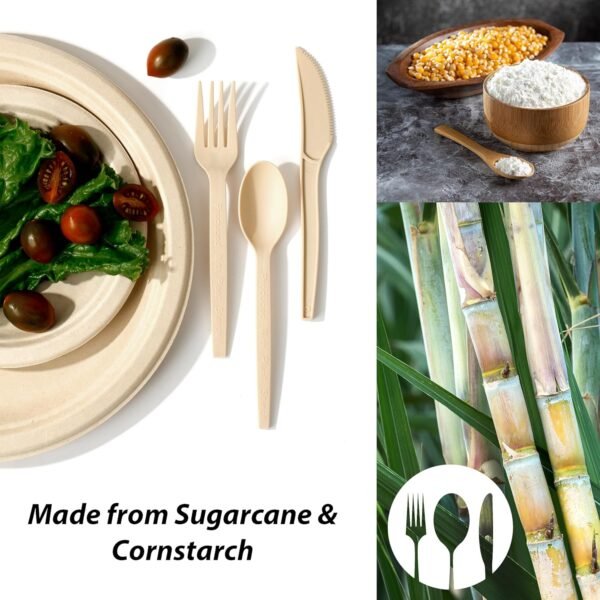 ALPIO 250Pcs Disposable Paper Plates Set, Compostable Dinnerware Set for 50 Guests – Biodegradable Paper Plates, Eco-Friendly Sugarcane Utensils, Includes Paper Plates, Forks, Knives, Spoons - Image 5