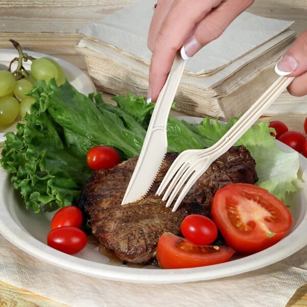 ALPIO 250Pcs Disposable Paper Plates Set, Compostable Dinnerware Set for 50 Guests – Biodegradable Paper Plates, Eco-Friendly Sugarcane Utensils, Includes Paper Plates, Forks, Knives, Spoons - Image 7