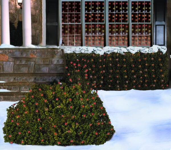 Tupkee Christmas Light Net – 150 LED Red Mesh Lights - 4 ft x 6 ft – Outdoor/Indoor – Net Lights for Bushes, Hedges or Trees - Image 3