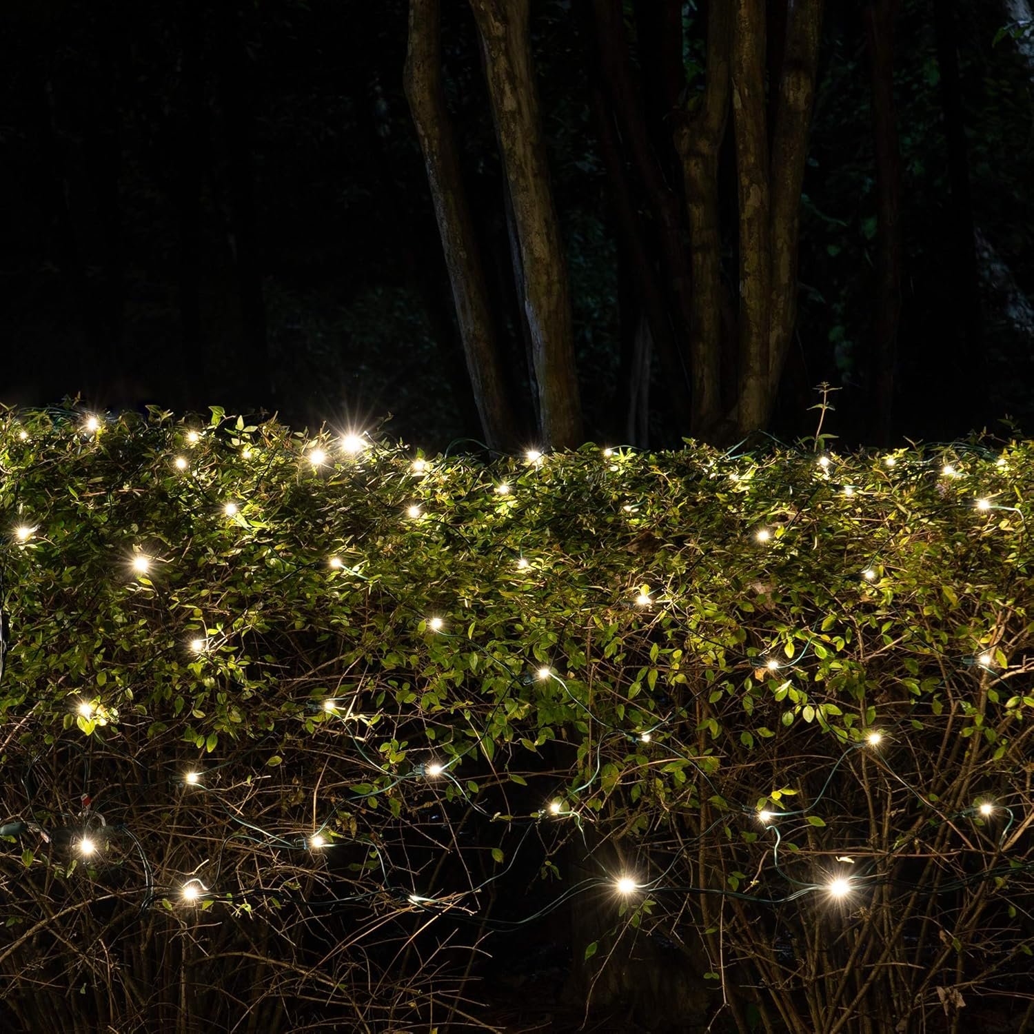 Wintergreen Lighting SoftTwinkle Pulsing Net Twinkle Lights, Net Lights Outdoor Twinkling Christmas Lights, Green Wire (70 Lights, 4’ x 6’ Net, Warm White) - Image 3